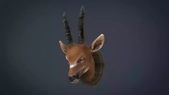 African Antelope mount