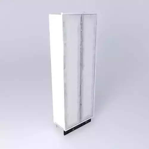 Cabinet with two doors