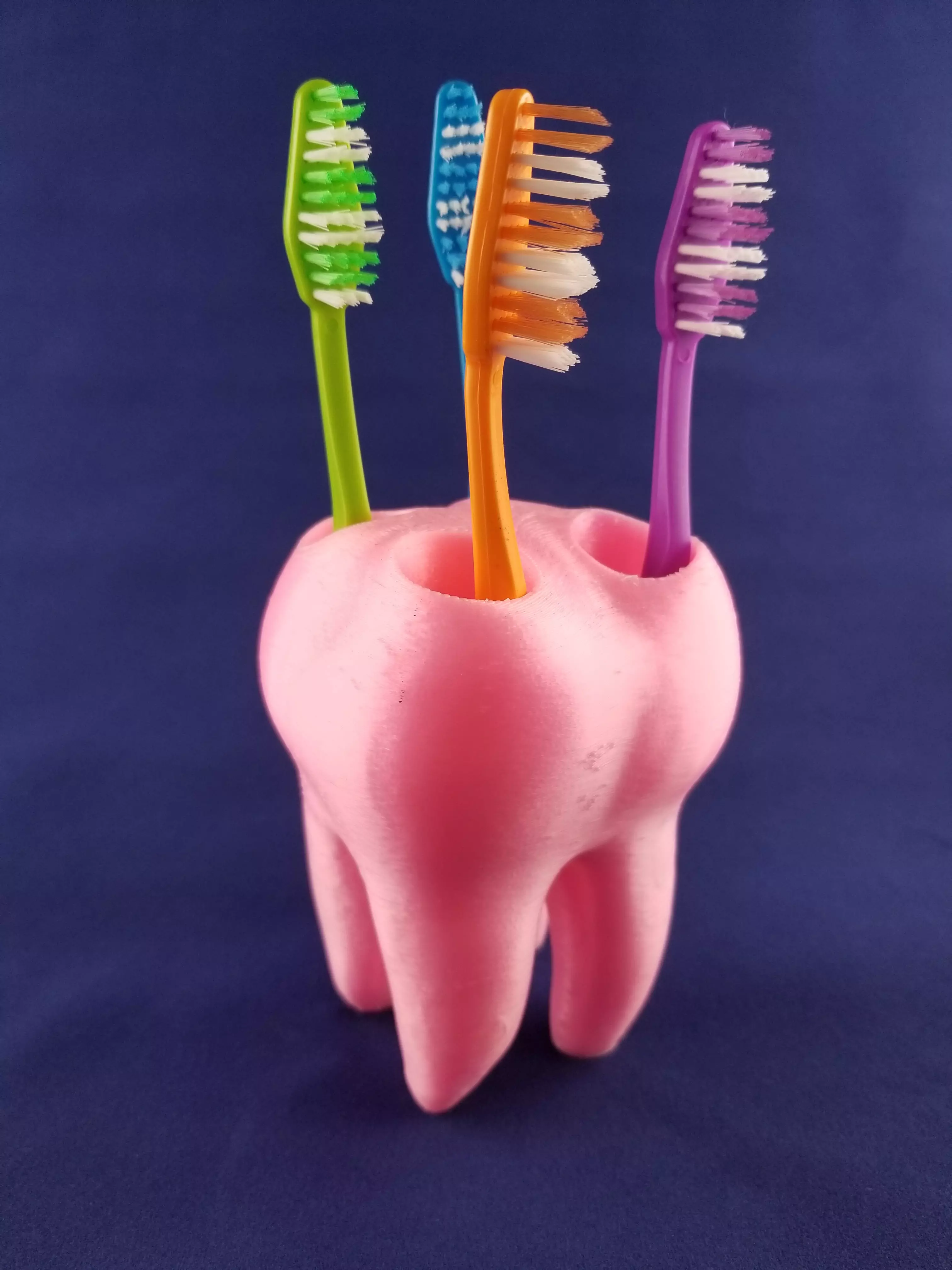 Tooth ToothBrush Holder 3D print model_0
