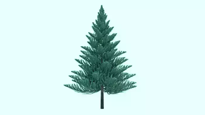 PINE TREE 3D model