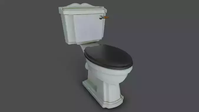 Toilet Seat