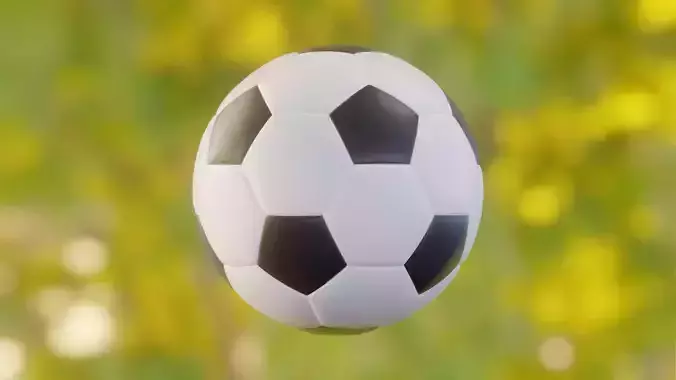 A soccer ball