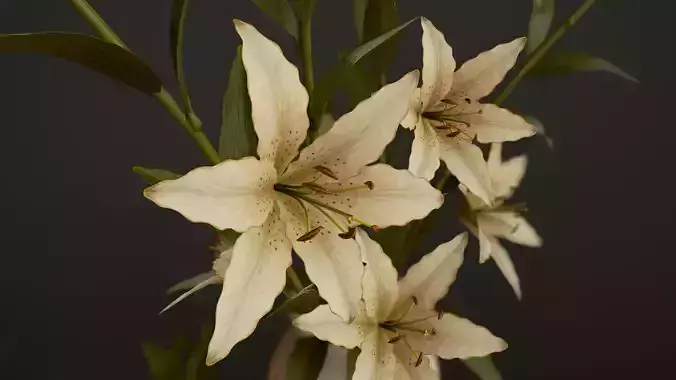 Bouquet with Lilies - PBR Game Ready Low-poly 3D model
