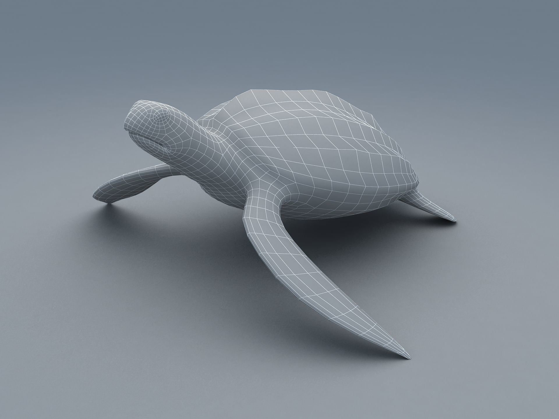 Leatherback Sea Turtle Dermochelys Coriacea Low-poly 3D model_19
