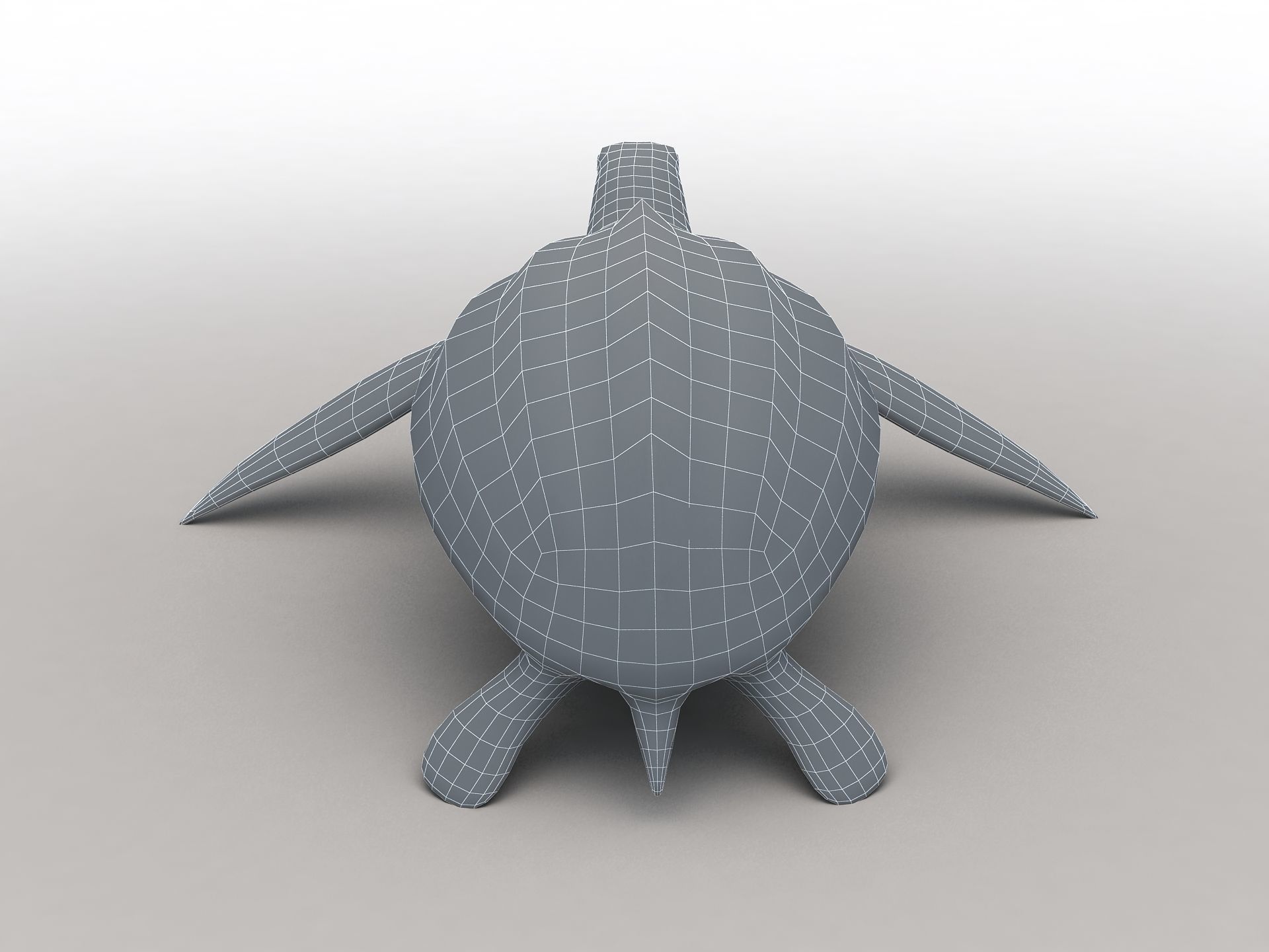 Leatherback Sea Turtle Dermochelys Coriacea Low-poly 3D model_18