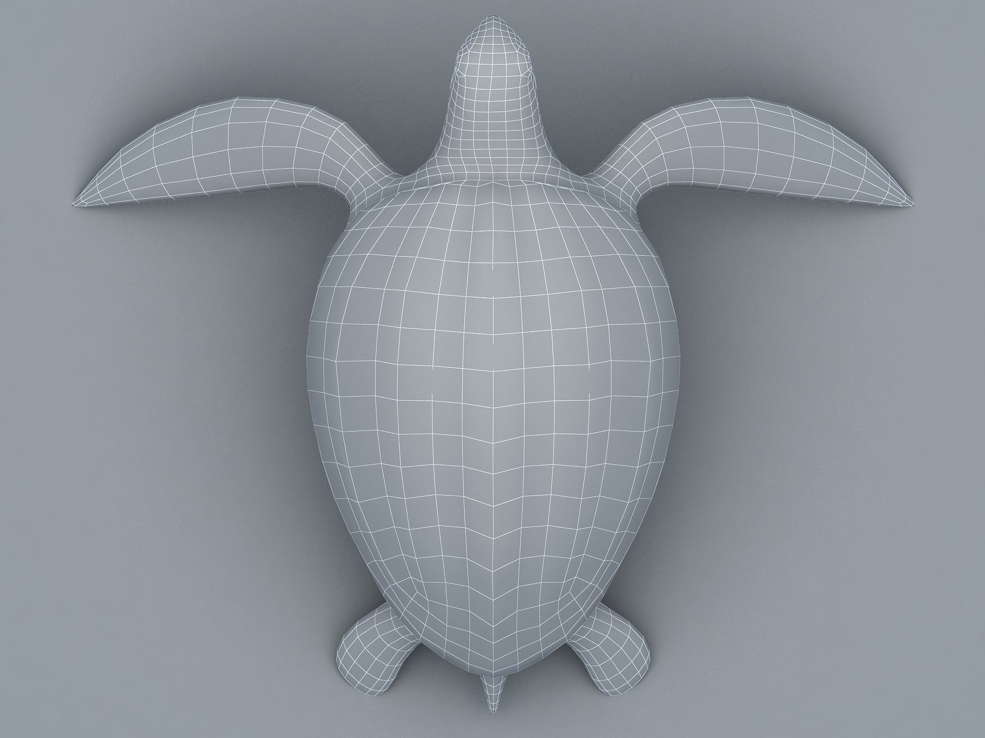Leatherback Sea Turtle Dermochelys Coriacea Low-poly 3D model_21