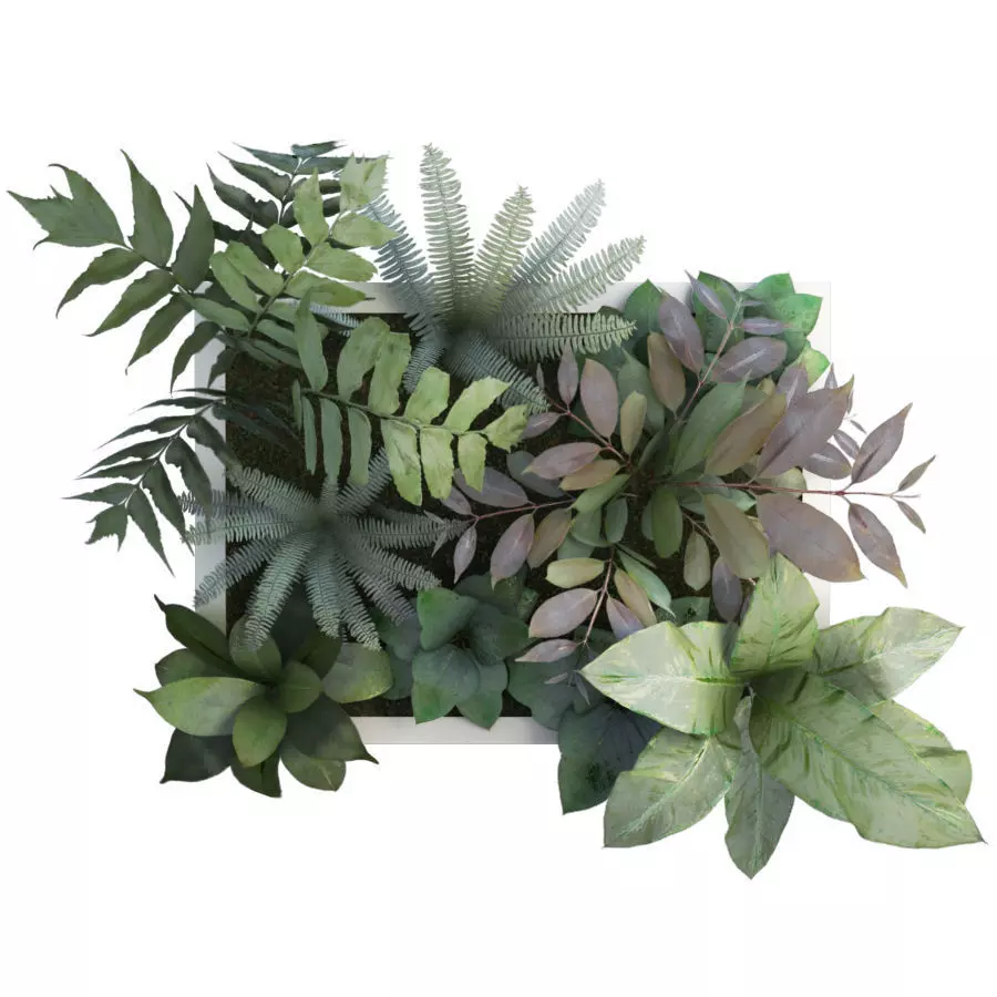 Vertical Plant Frame 55 X 40 Cms 3D model_0