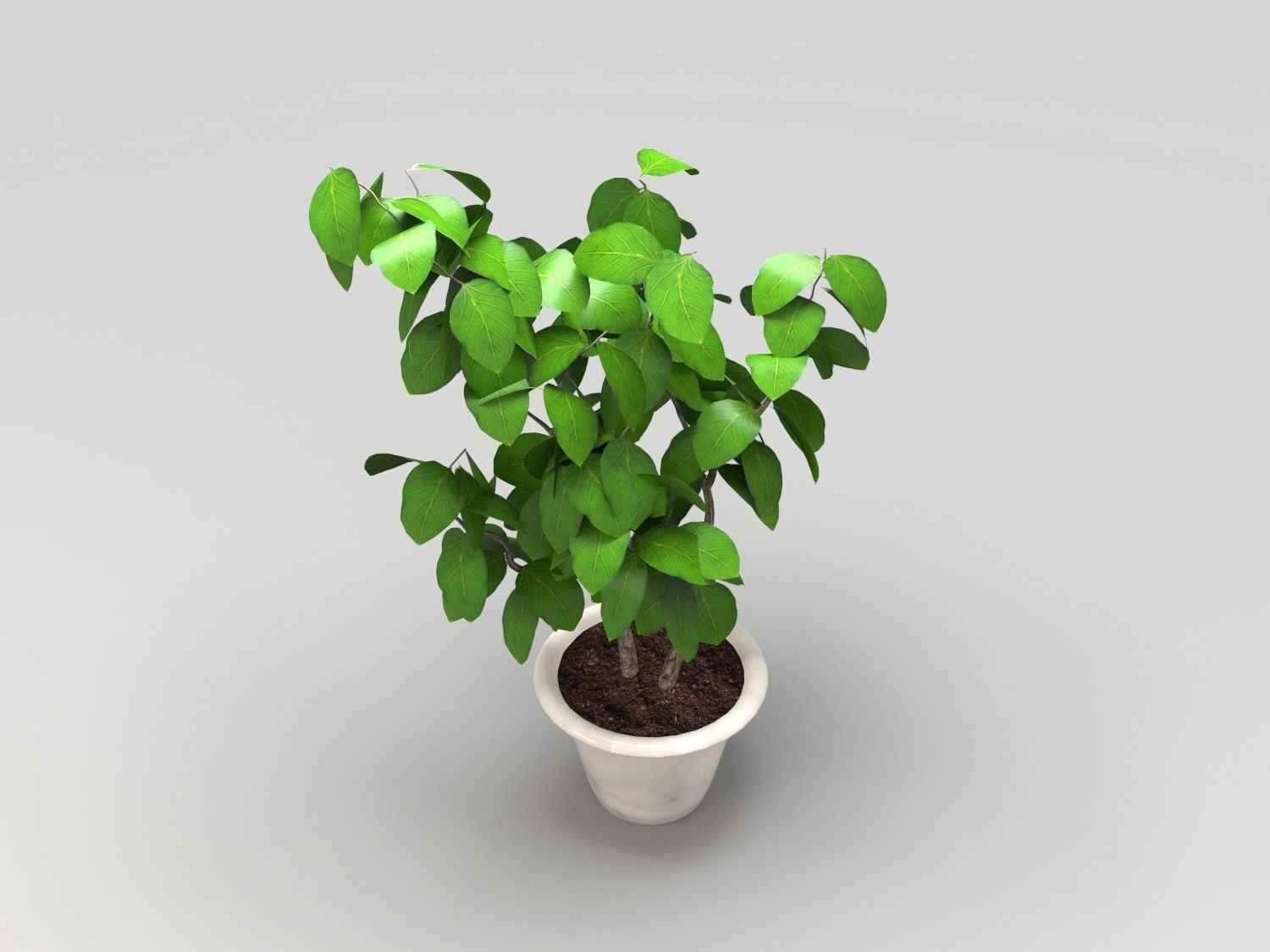 Plant in pot Low-poly 3D model_1