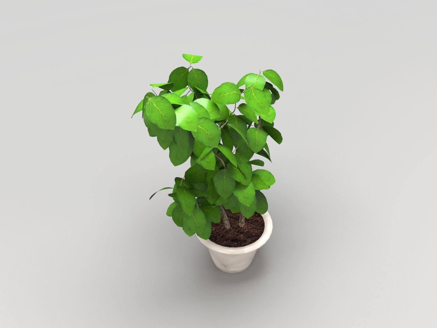 Plant in pot Low-poly 3D model_3