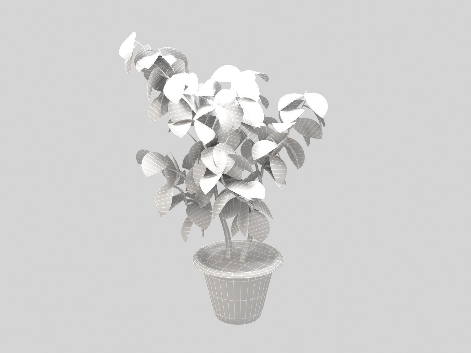 Plant in pot Low-poly 3D model_5