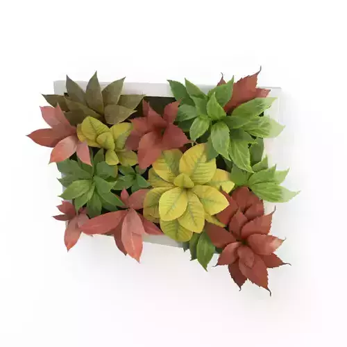 Plants Frame 50 X 40 Cms 3D model