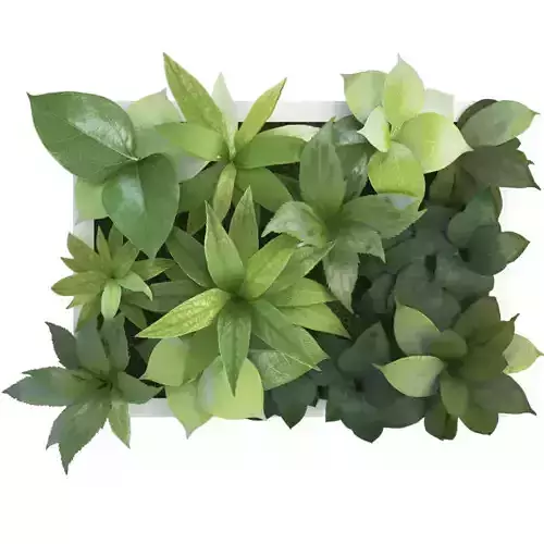 Plant Frame 40 X 30 Cms 3D model