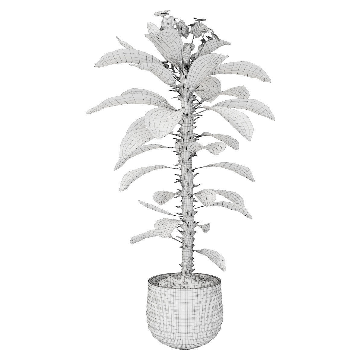 Plant 7 hibiscus flower 3D model_4