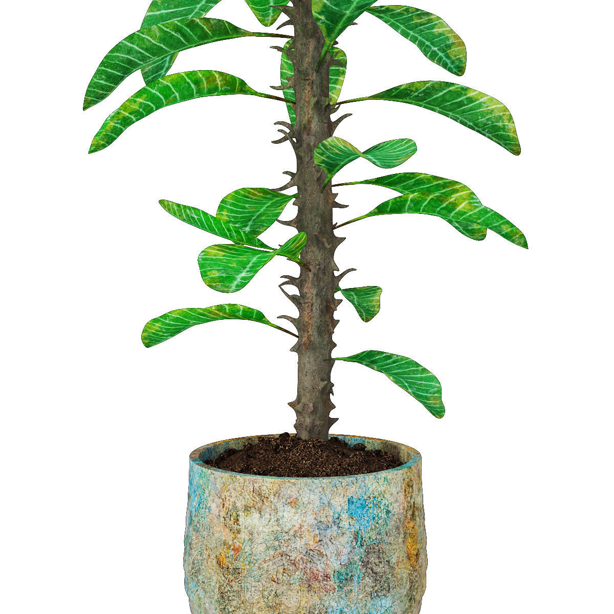 Plant 7 hibiscus flower 3D model_2