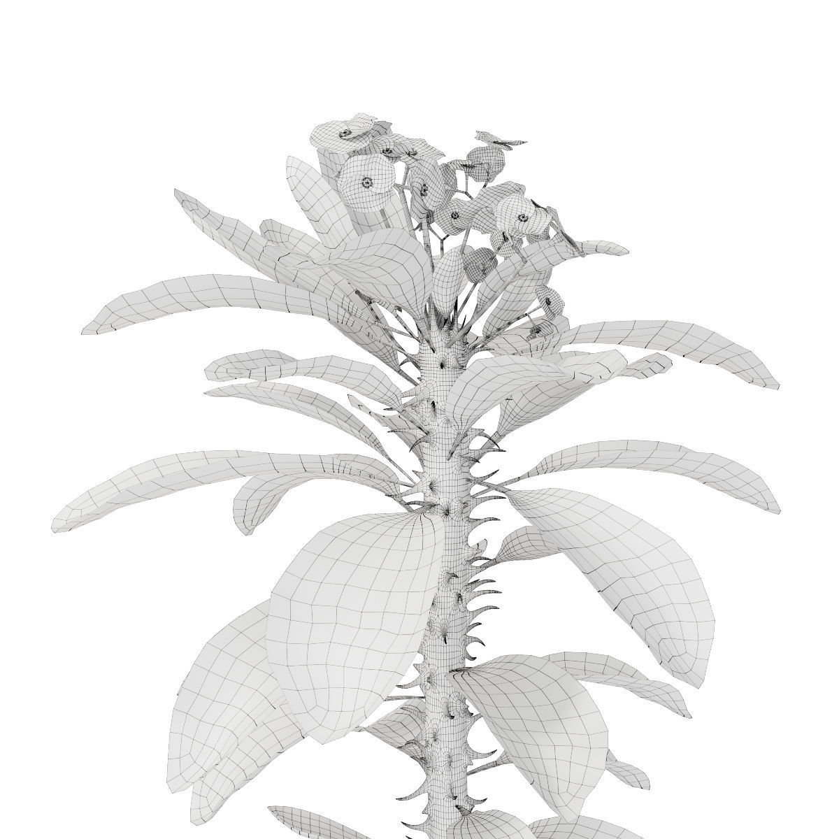 Plant 7 hibiscus flower 3D model_3