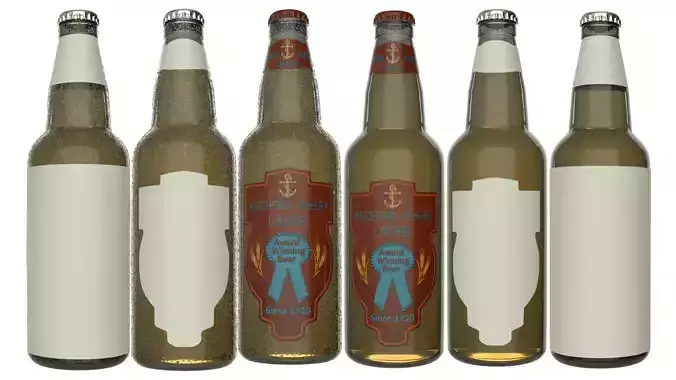 Beer Bottle with Beer and Condensation v06