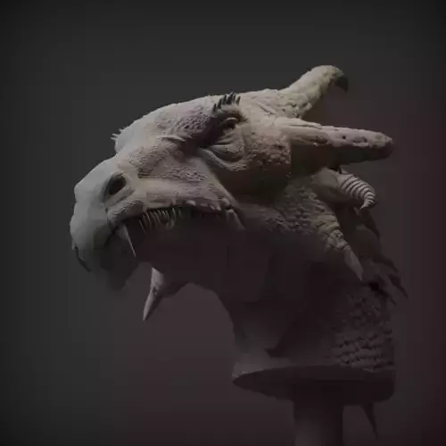 Dragon Bust
