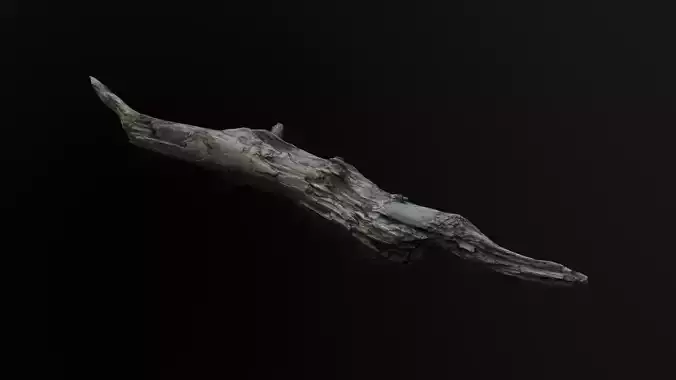 Pine Log 1 - Scanned models for games