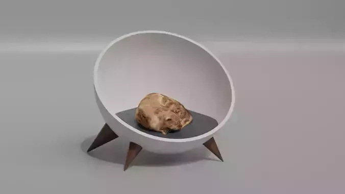 Pet bed - Cat - dog - Cat bed 3D model