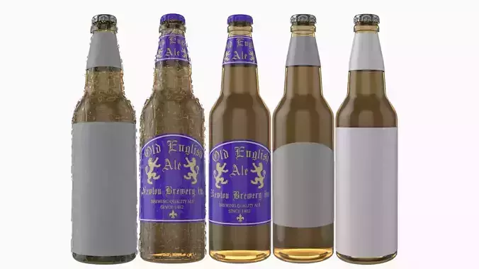 Beer Bottle with Beer and Condensation v09