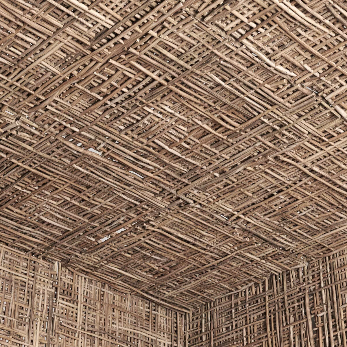 Branch ceiling 3D model