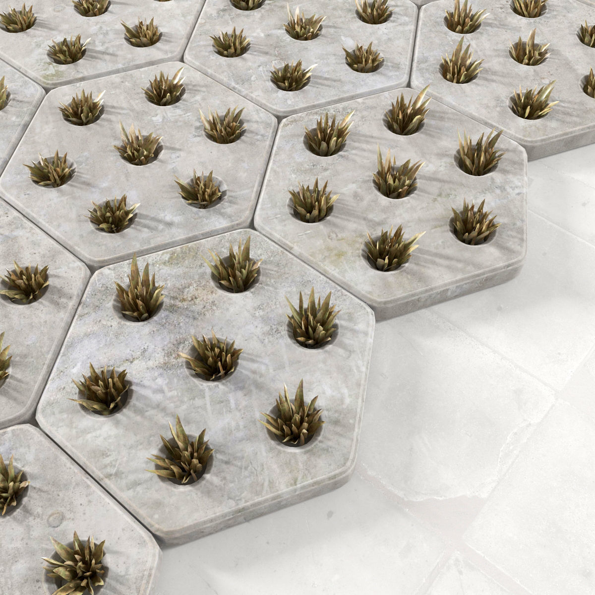 Paving hexagon  grass 3D model_3