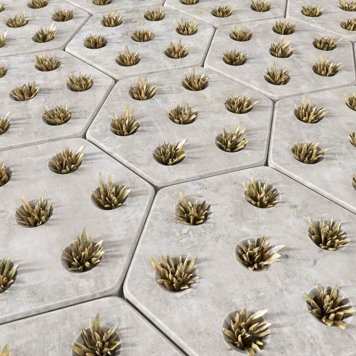 Paving hexagon  grass 3D model_2