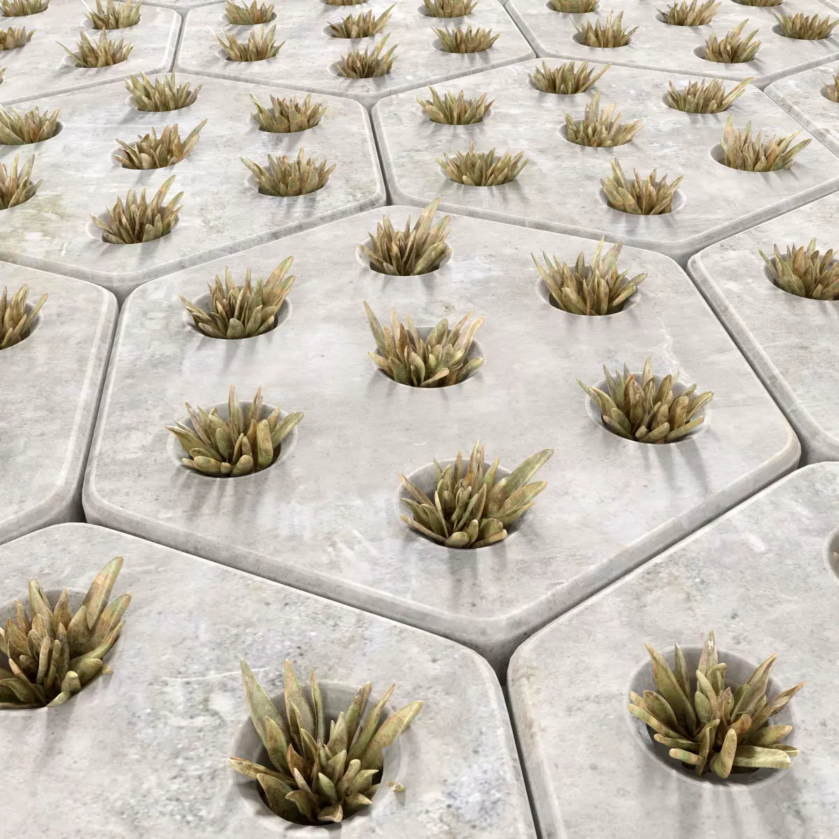 Paving hexagon  grass 3D model_0