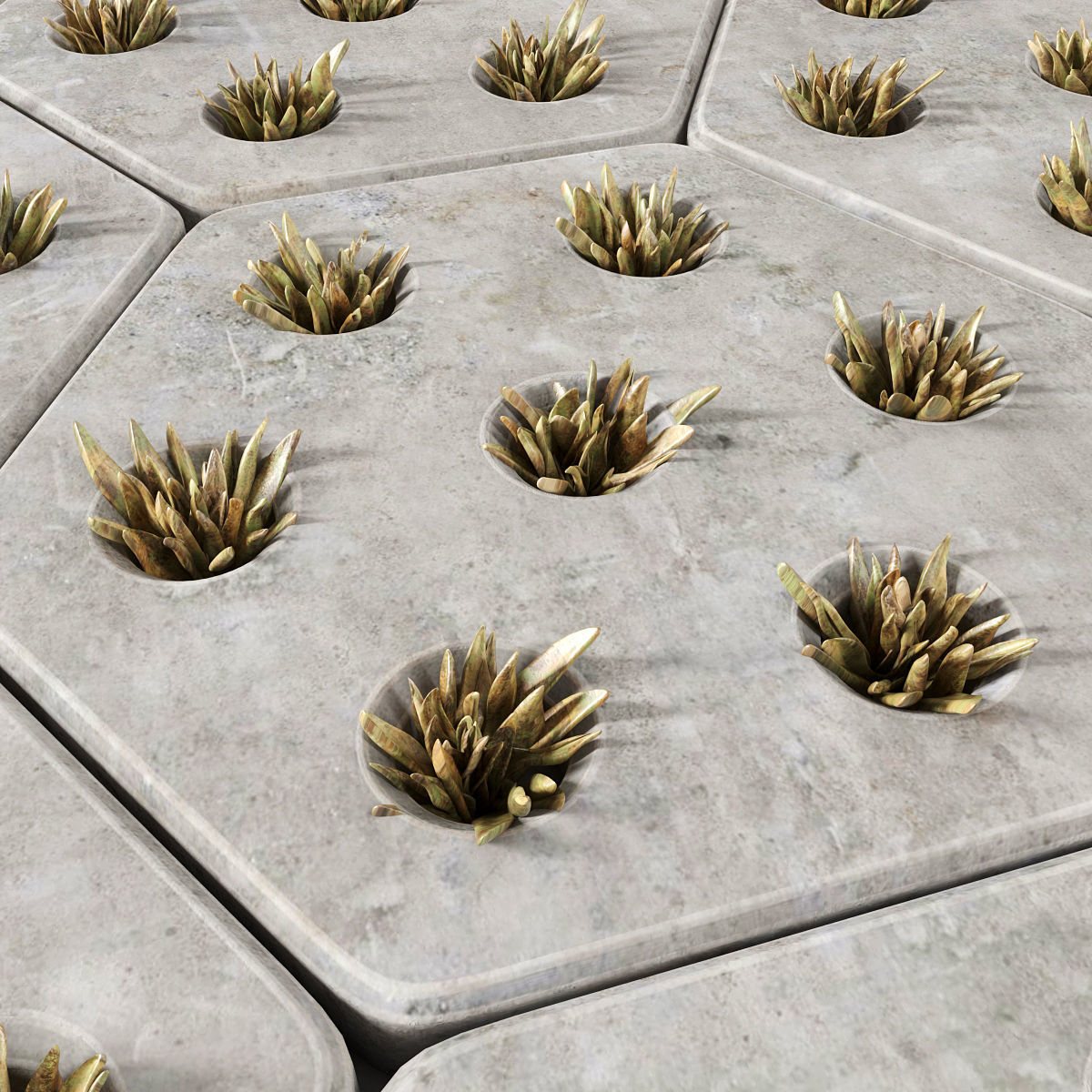 Paving hexagon  grass 3D model_1