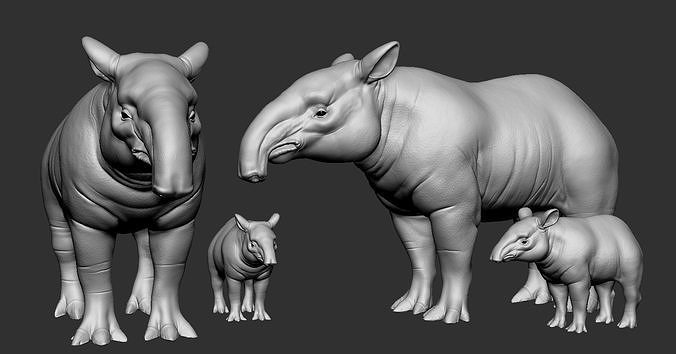 Tapirus family of tapirs 3D print model