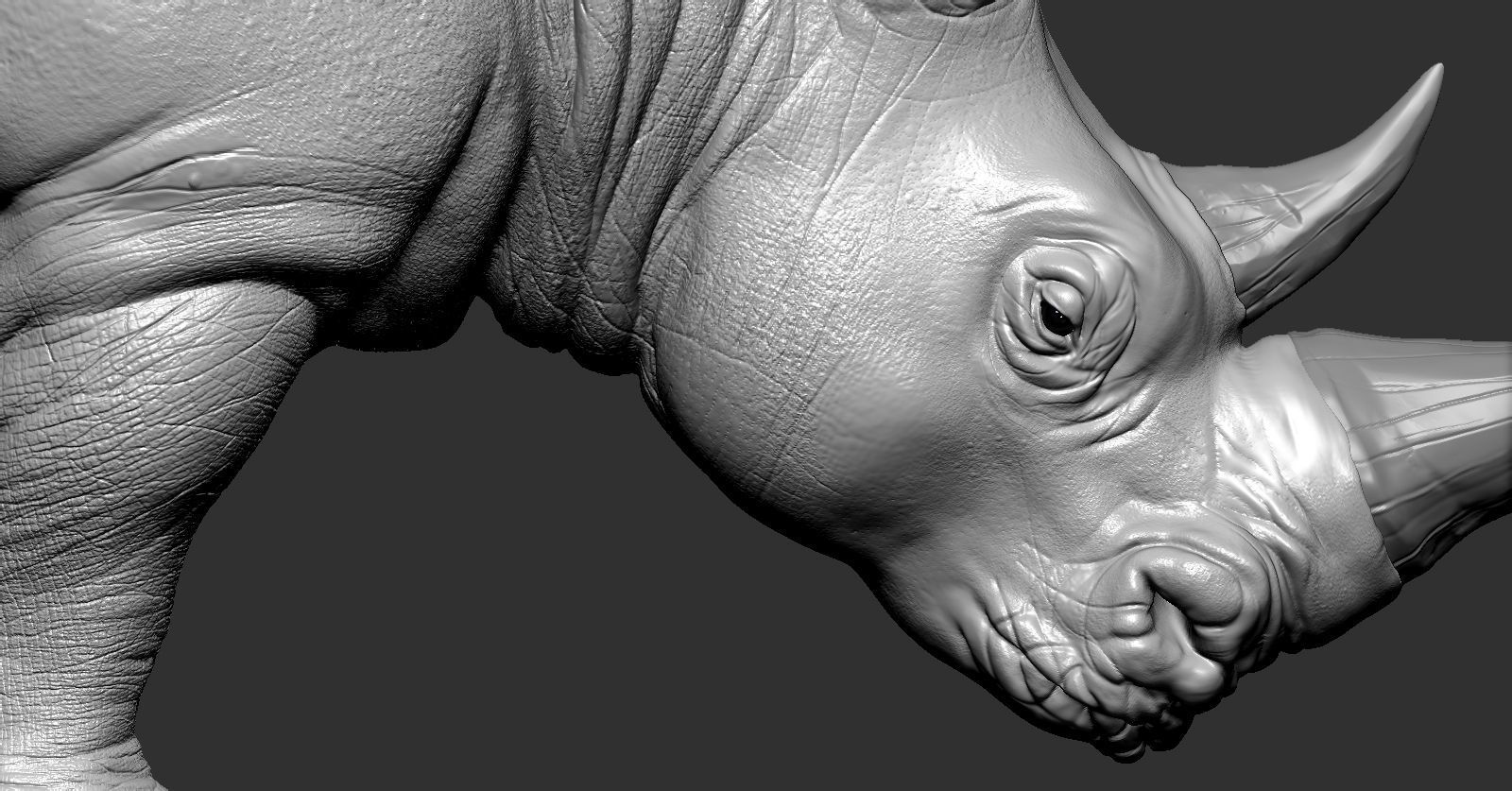 Rhino rhinoceros 3D print model_10