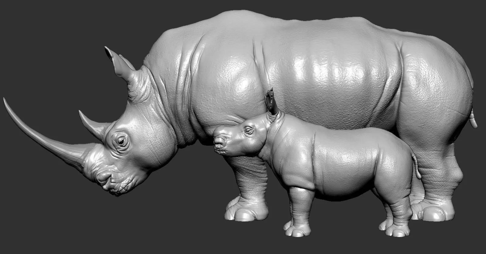 Rhino rhinoceros 3D print model_0