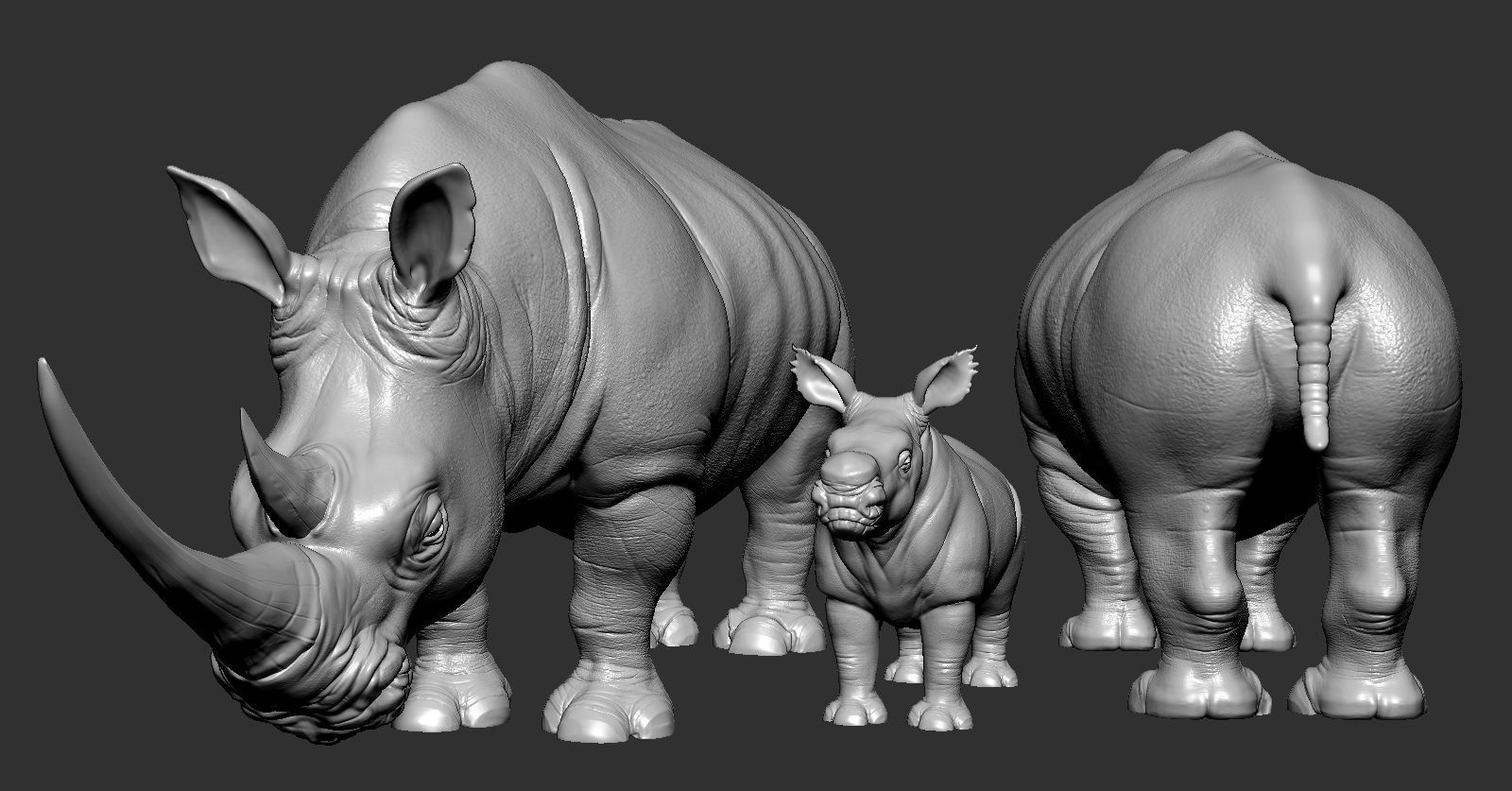 Rhino rhinoceros 3D print model_3
