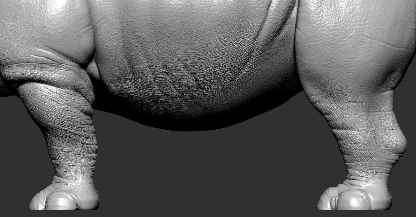 Rhino rhinoceros 3D print model_12