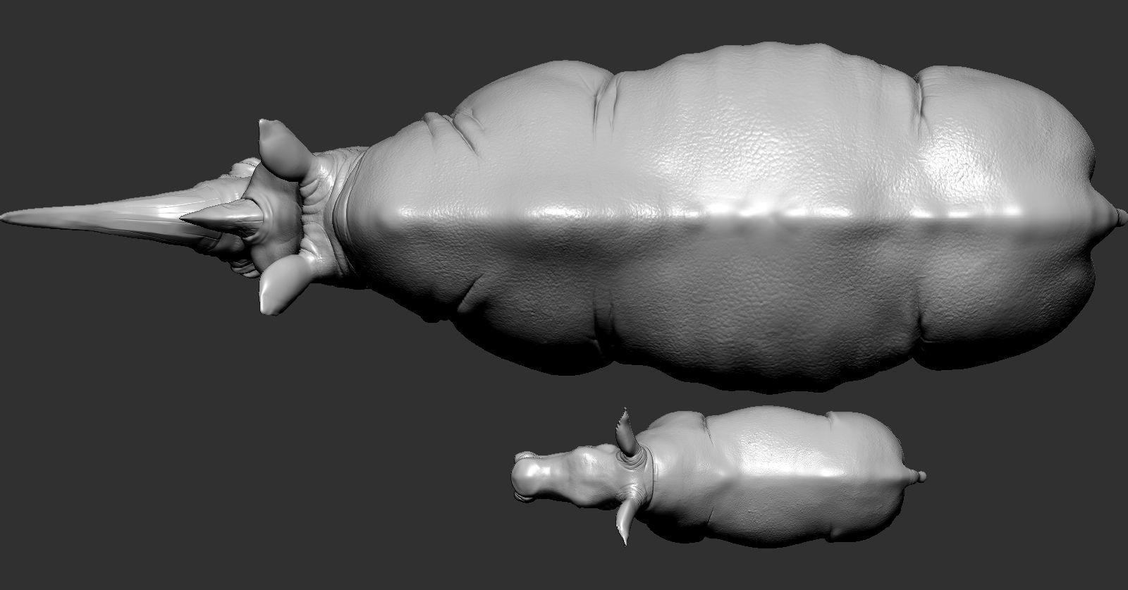 Rhino rhinoceros 3D print model_6