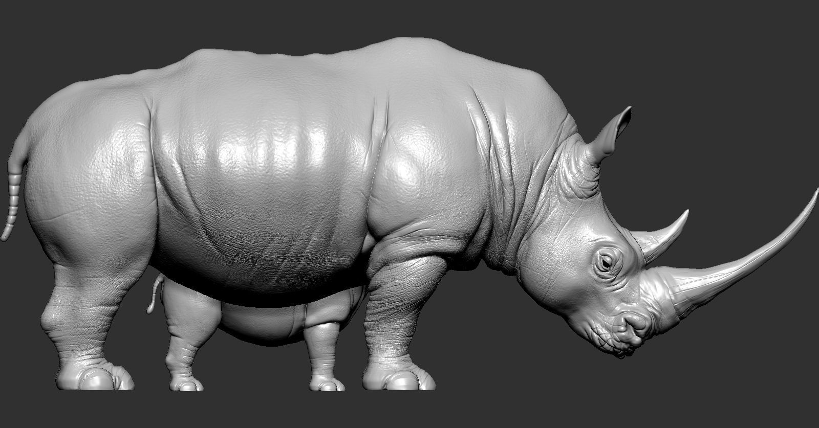 Rhino rhinoceros 3D print model_4