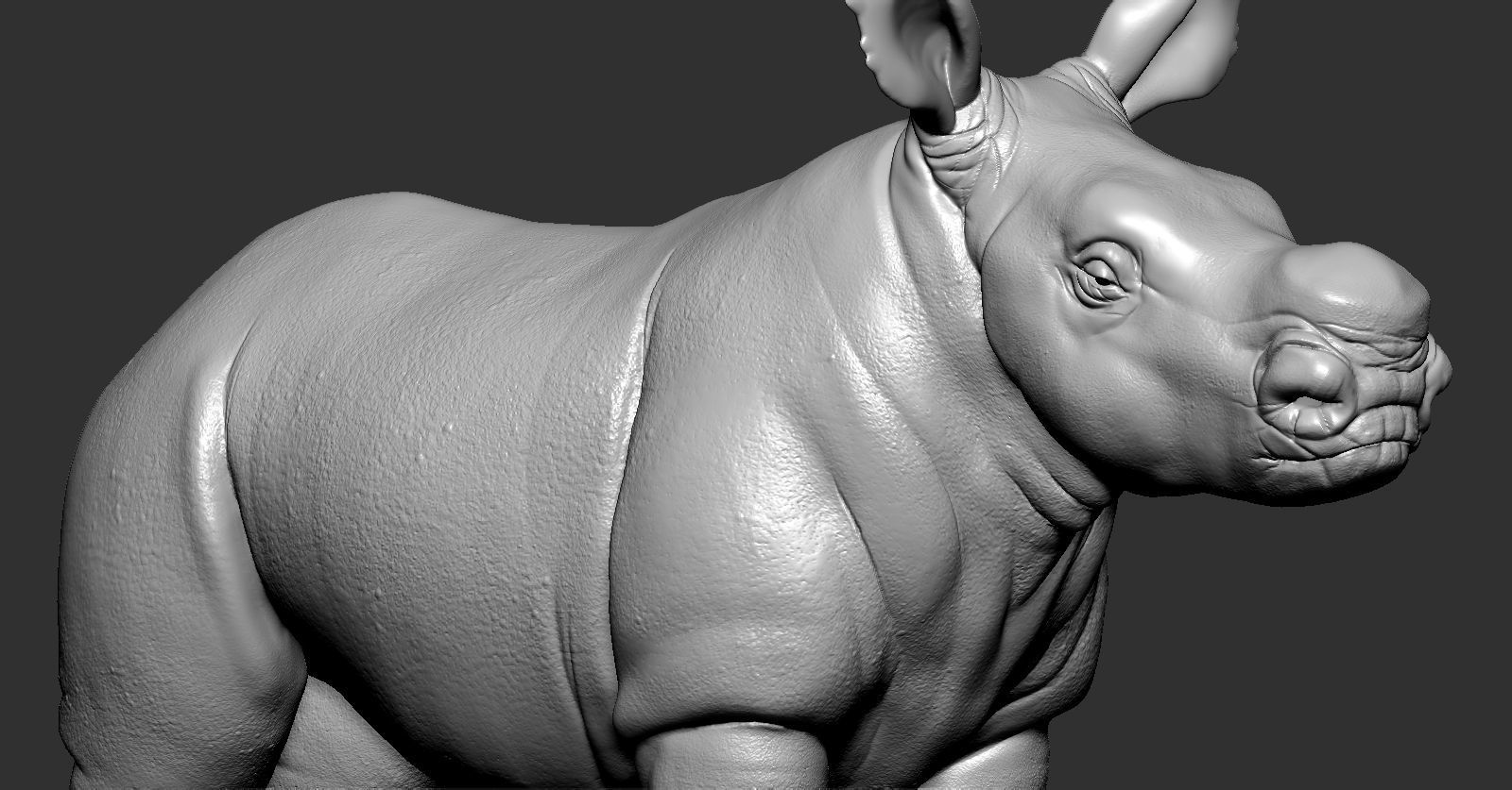 Rhino rhinoceros 3D print model_15