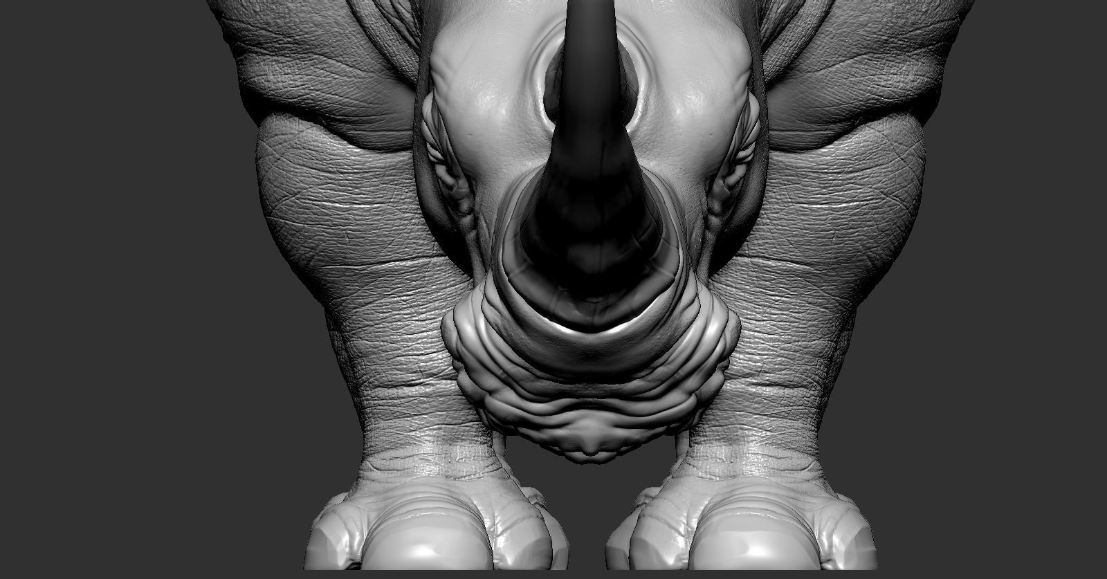 Rhino rhinoceros 3D print model_11