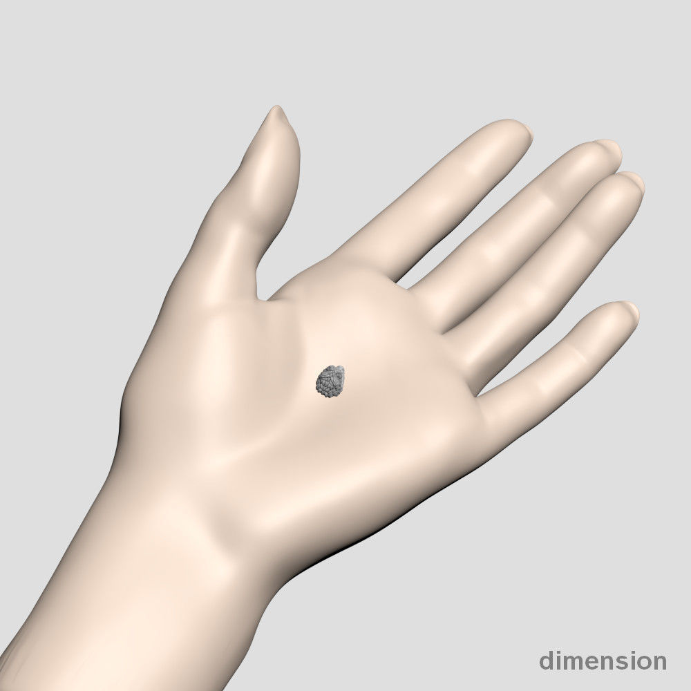 Snake head 5 - Best for jewelry 3D print model_6