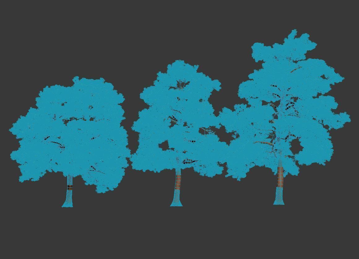 Pinus sylvestris Mega Collection 12 models H10-27m 3D model_8