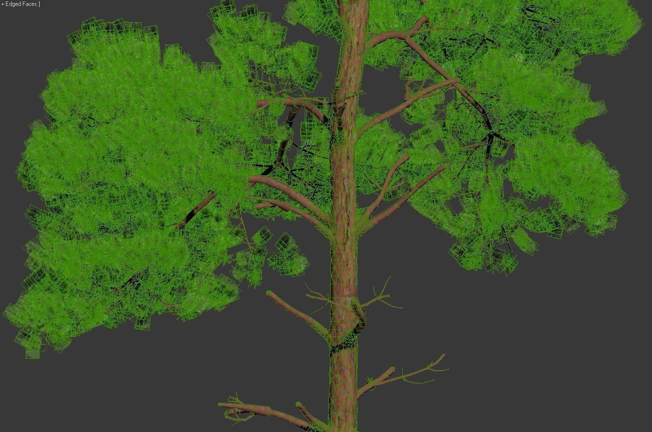 Pinus sylvestris Mega Collection 12 models H10-27m 3D model_7