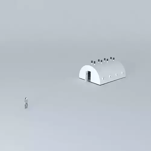 Iglu de ssipa technical limonaria