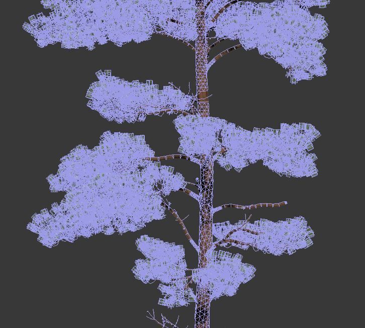 Pinus sylvestris Nr11 H17-22m Four tree set 3D model_3