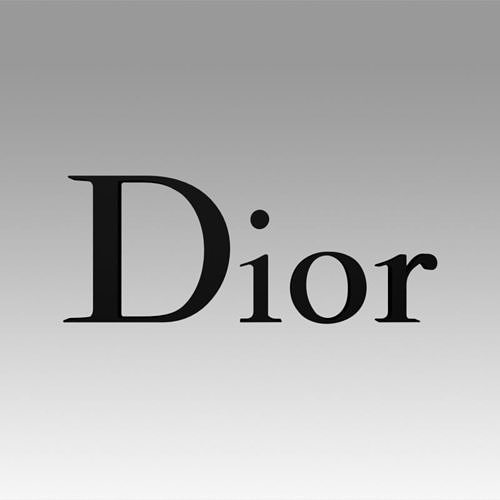 Dior old logo 3D model