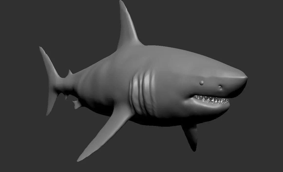 shark 3D model_0