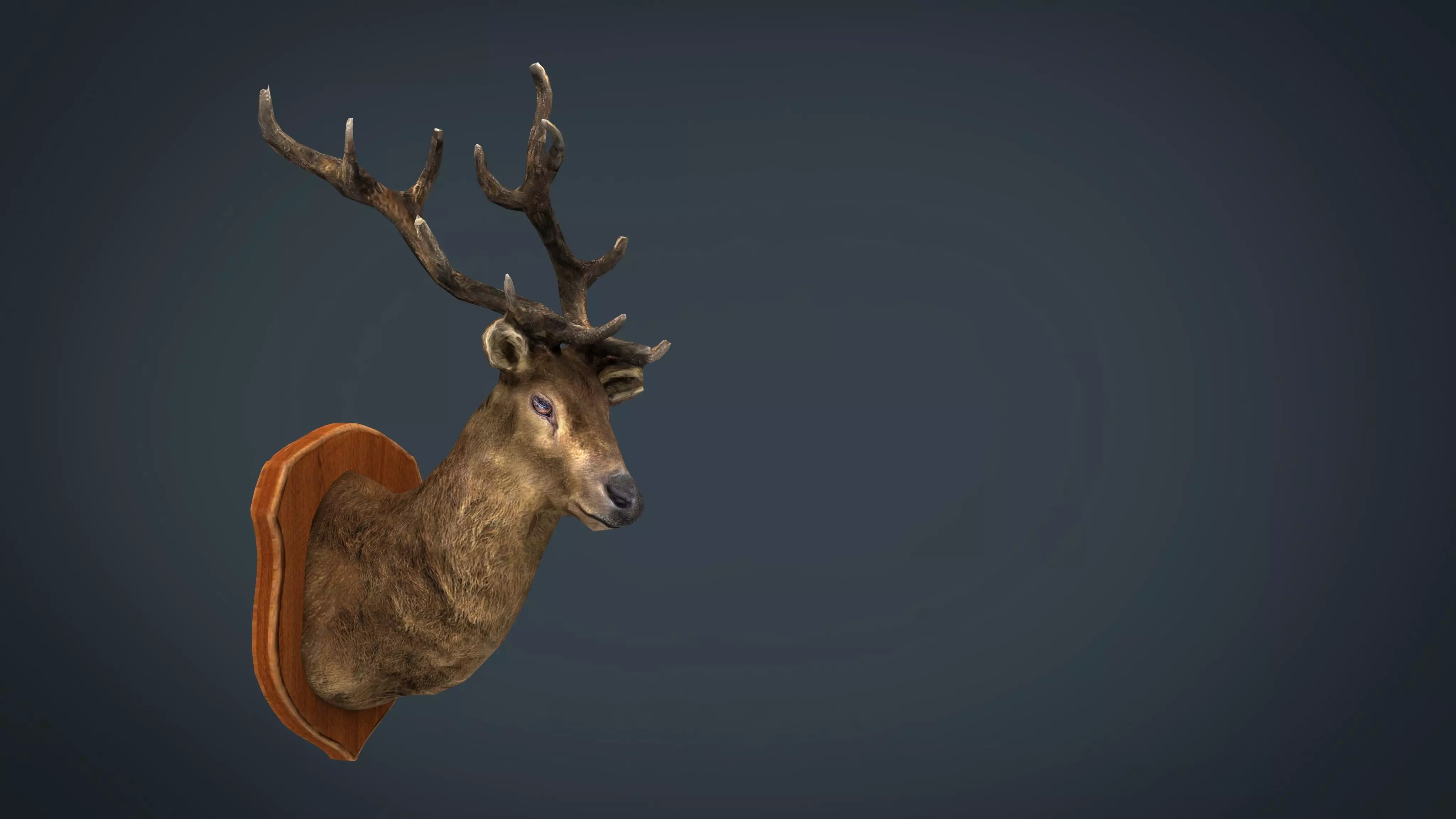 DEER TROPHY Low-poly 3D model_0