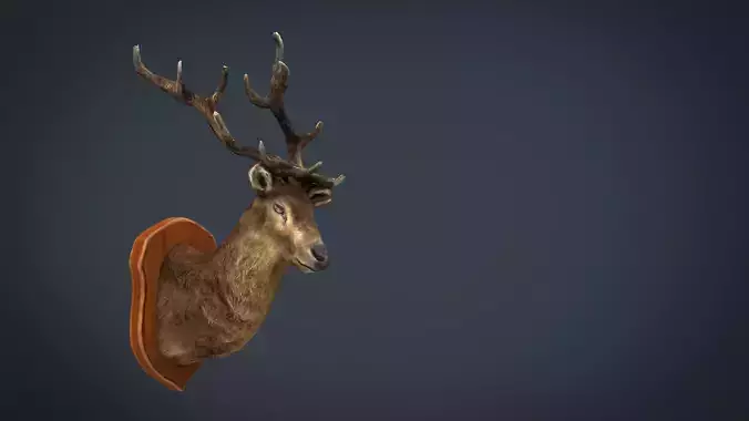 DEER TROPHY Low-poly 3D model