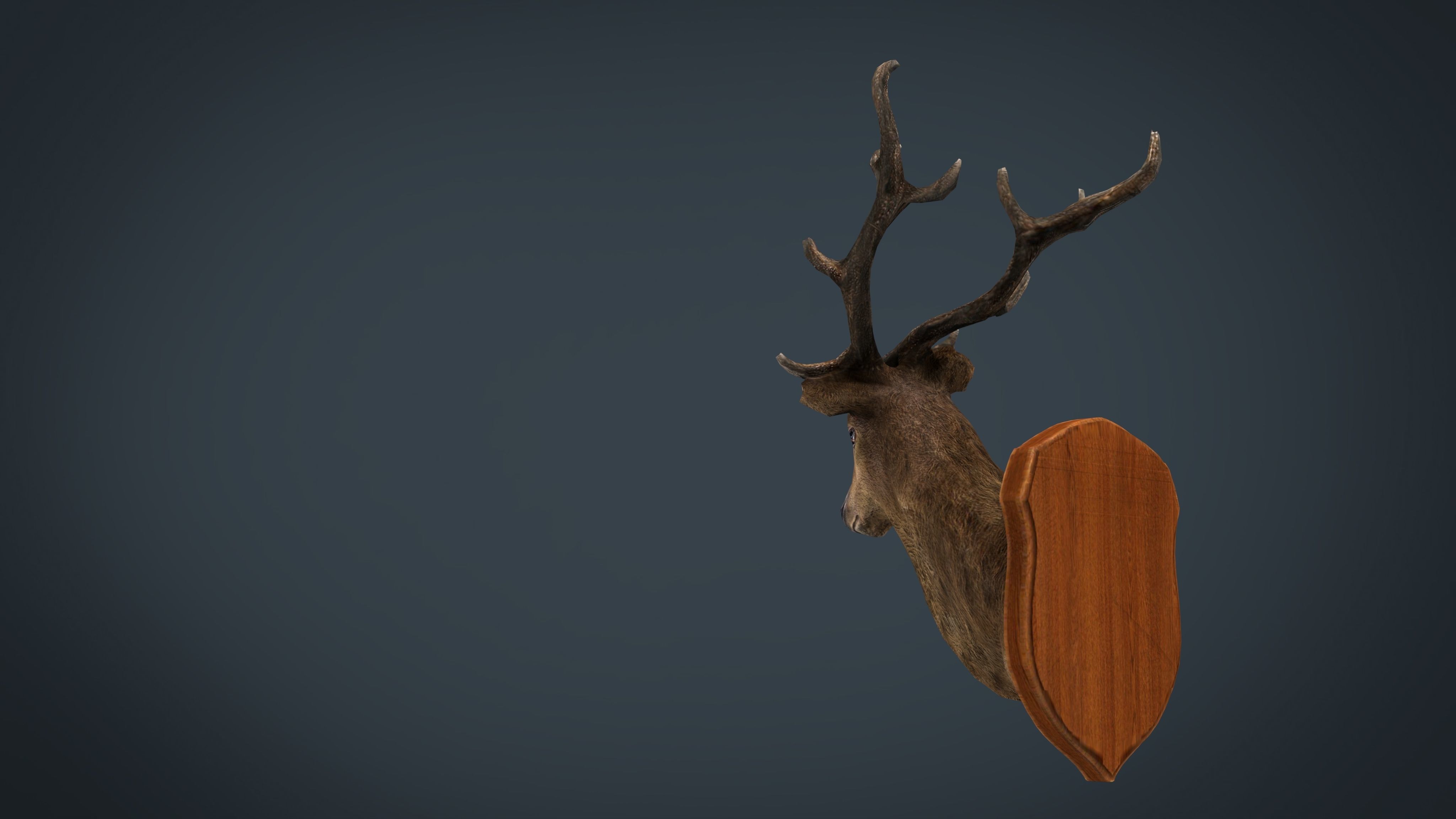 DEER TROPHY Low-poly 3D model_9