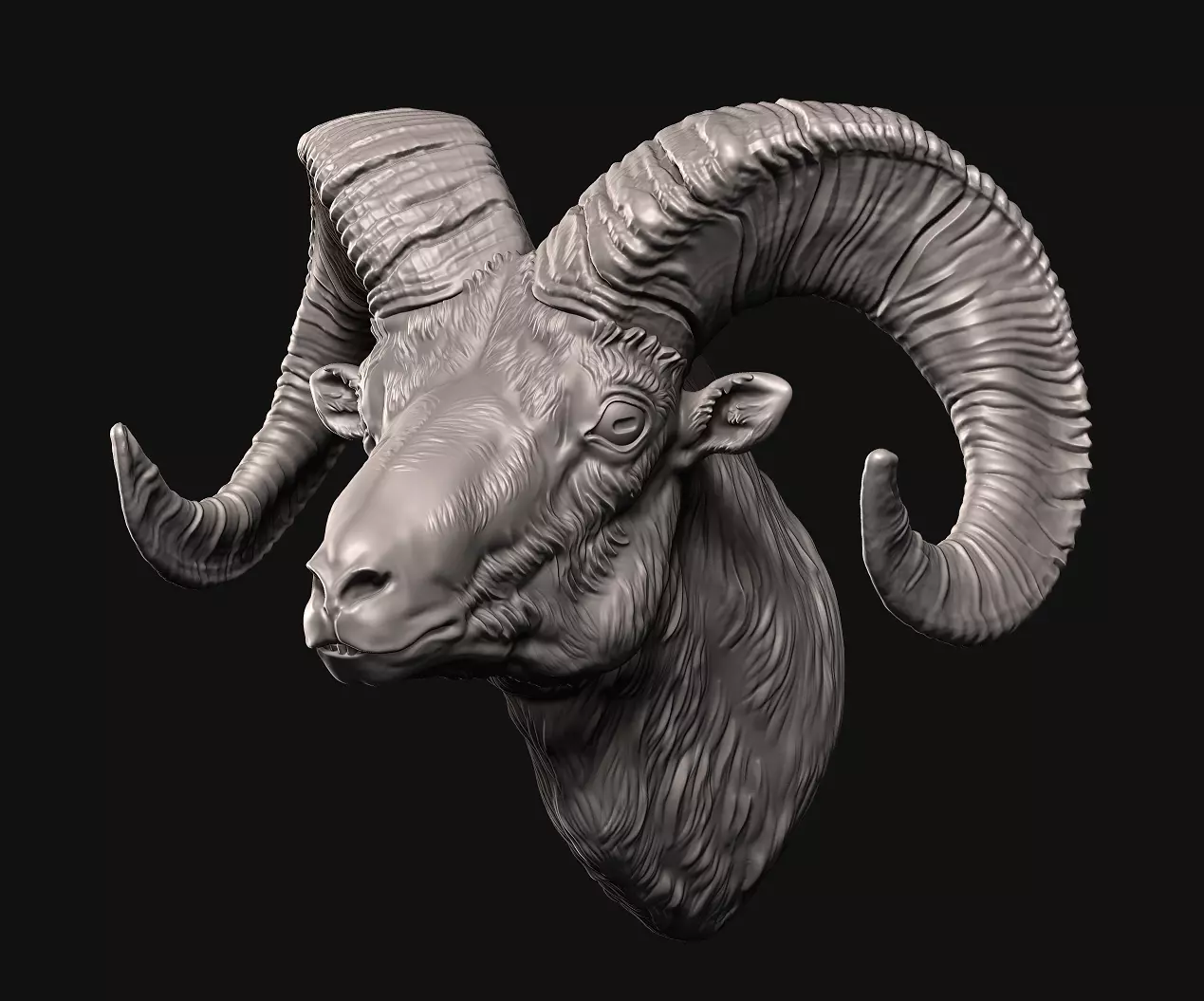 Big Horn Sheep 3D print model_0