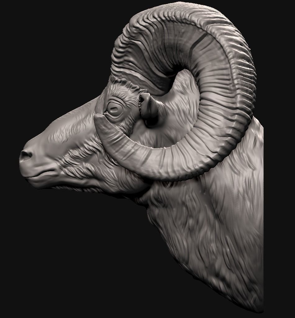 Big Horn Sheep 3D print model_2